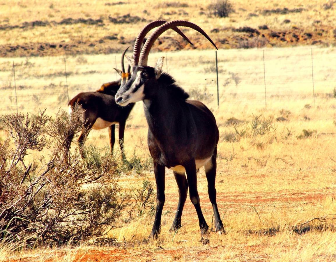 Lodge Otterskloof Game Reserve